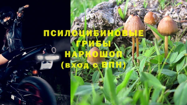 мяу мяу мука Гусев
