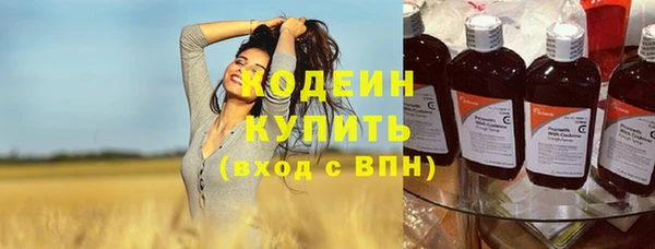 мяу мяу мука Гусев