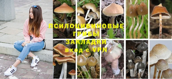 крисы Гусь-Хрустальный