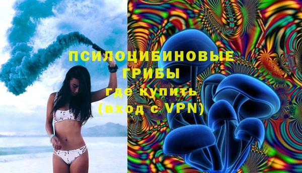 мяу мяу мука Гусев