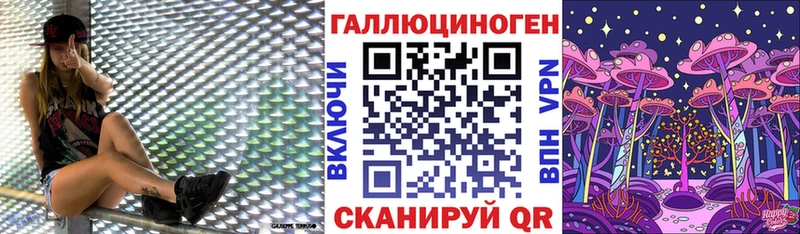Псилоцибиновые грибы мицелий  дарнет шоп  дарк нет клад  Новомосковск 